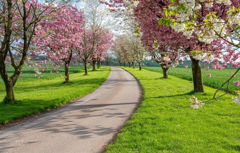 Bracken Hideaway, York sleeps 2 people