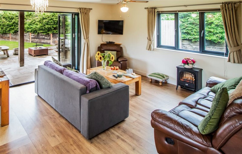 Cae Llwyn - Caban Dulas, Rhayader and the Elan Valley sleeps 4 people