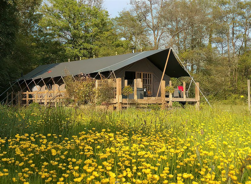 Camnant, near Newcastle Emlyn, Ceredigion has a hot tub