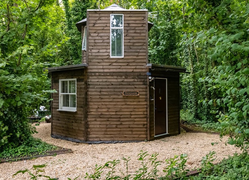 Honeycombe Treehouse, Blandford Forum has a hot tub