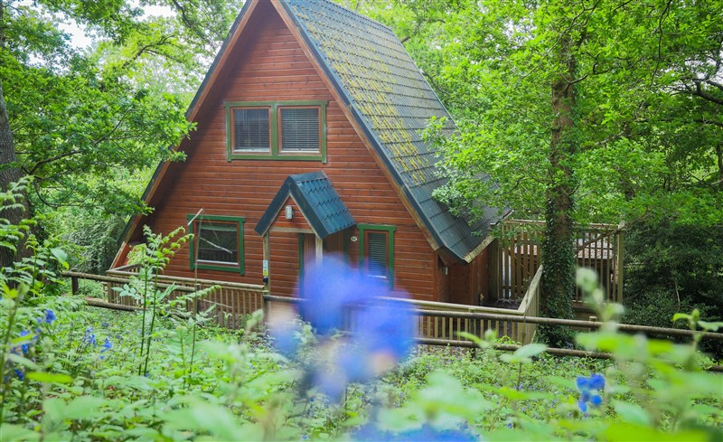 Lodge 68 - Fern Gully, Finlakes Holiday Park near Chudleigh, Devon sleeps 6 people