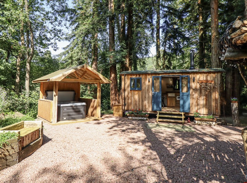 Tanglewood Shepherds Hut, Leighton near Welshpool, Powys has a hot tub
