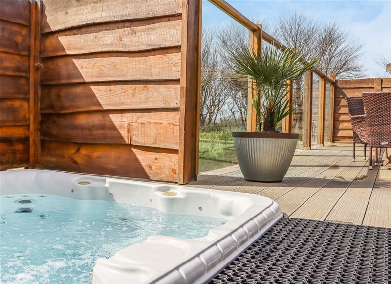 The Pig on the Hill - Saddleback, Westward Ho! has a hot tub