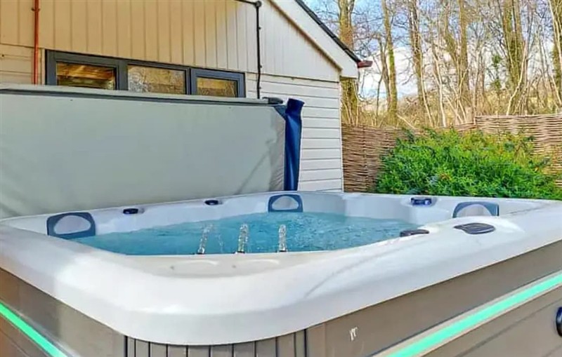 Whispering Pines Little Dunley, Bovey Tracey sleeps 4 people